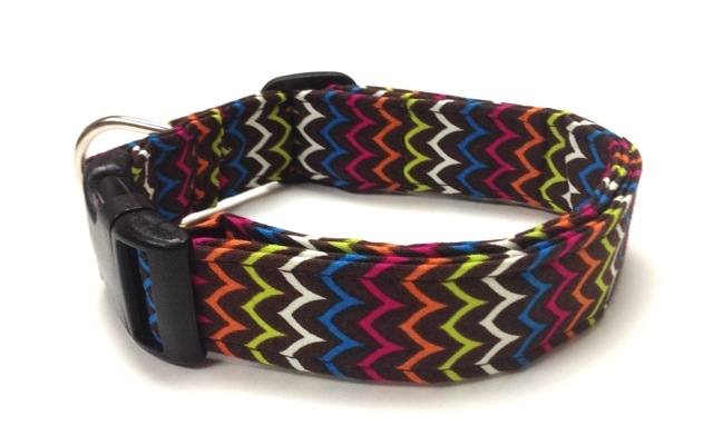 xavier dog collar