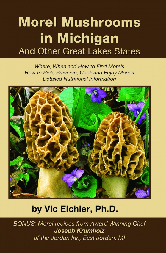Morel Mushrooms in Michigan Handmade Michigan