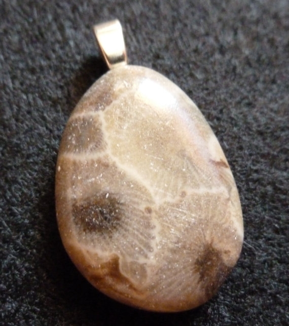 Petoskey Stone Native Michigan Fossil Pendant Oval Shape Handmade